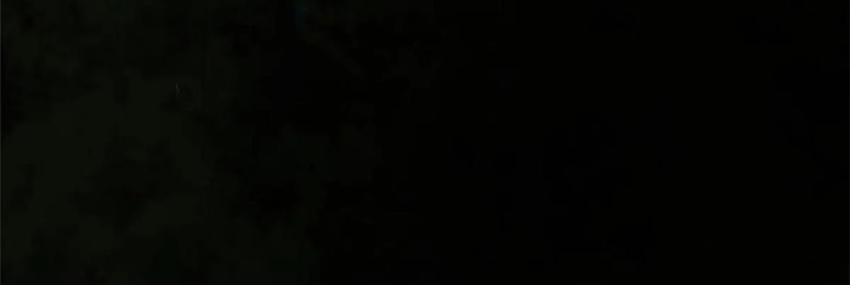 115 魔鬼赌盘 第115页