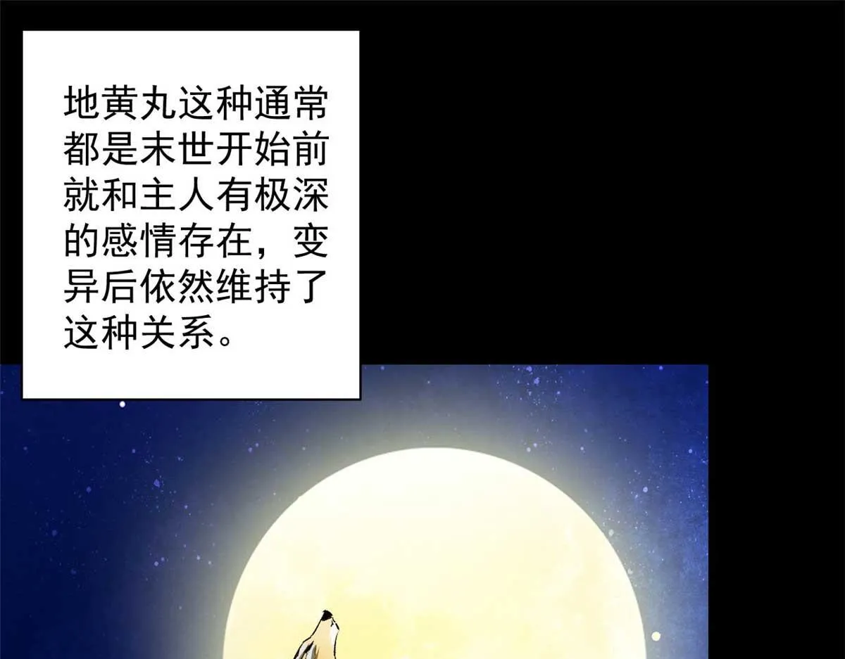 116 乱中求胜！ 第5页