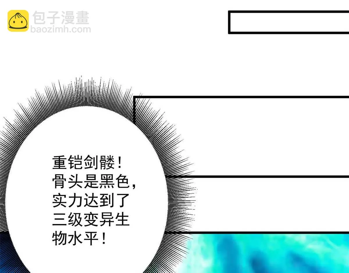 117 最后一个奖励图案 第72页