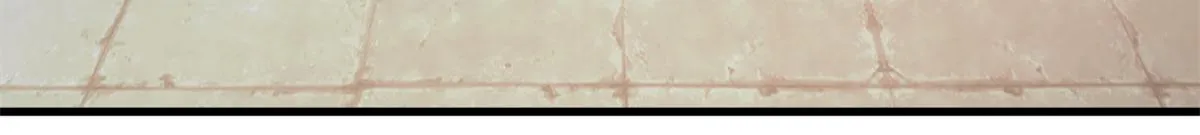 121 献祭的方式不对？ 第13页