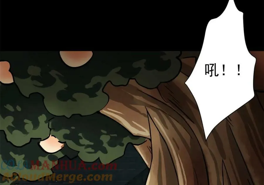 149 虚伪鬼树 第93页