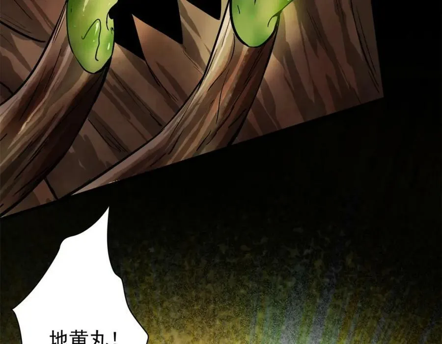149 虚伪鬼树 第114页