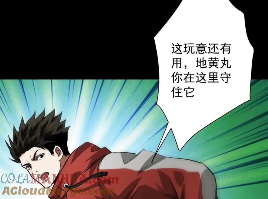 149 虚伪鬼树 第121页