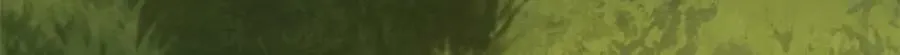 151 云顶的新王 第11页