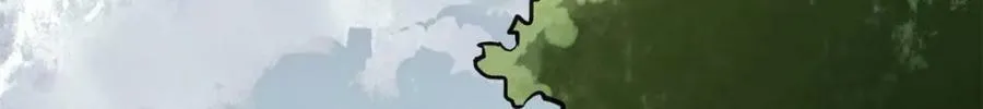 162 怪物的进化 第109页