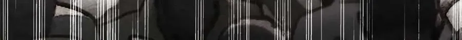 175 驭兽师 第13页