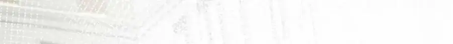 190 胎记 第10页