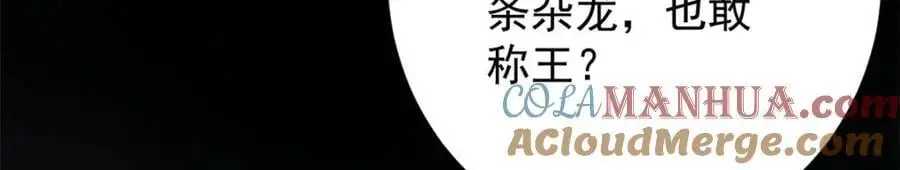 196 王蟒现身 第97页