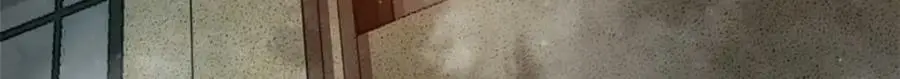 197 激活！血统水晶 第40页