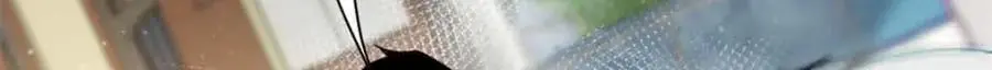 203 潘多拉毁灭弩 第25页