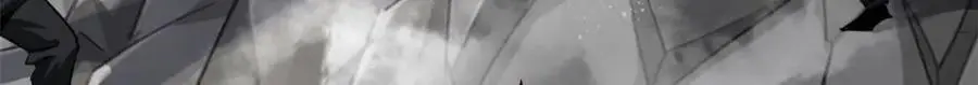 205 借势 第64页