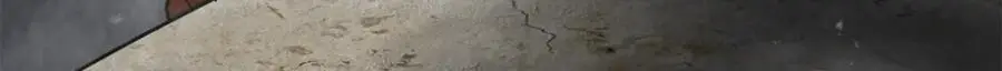 207 联合？ 第82页