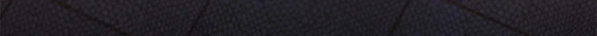 29 一网打尽 第110页