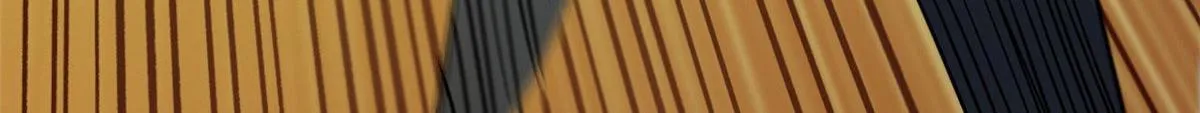 70 语婆与她的宠物 第39页