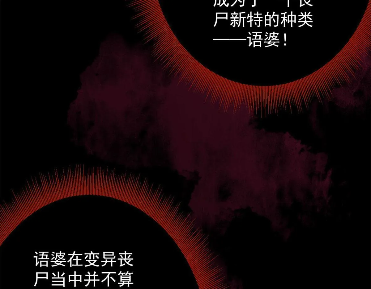 70 语婆与她的宠物 第123页