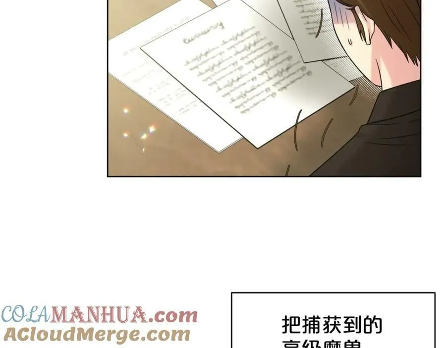 完结篇 幸福的生活 第29页