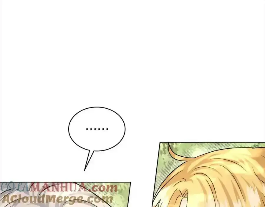 第92话 继承人 第29页