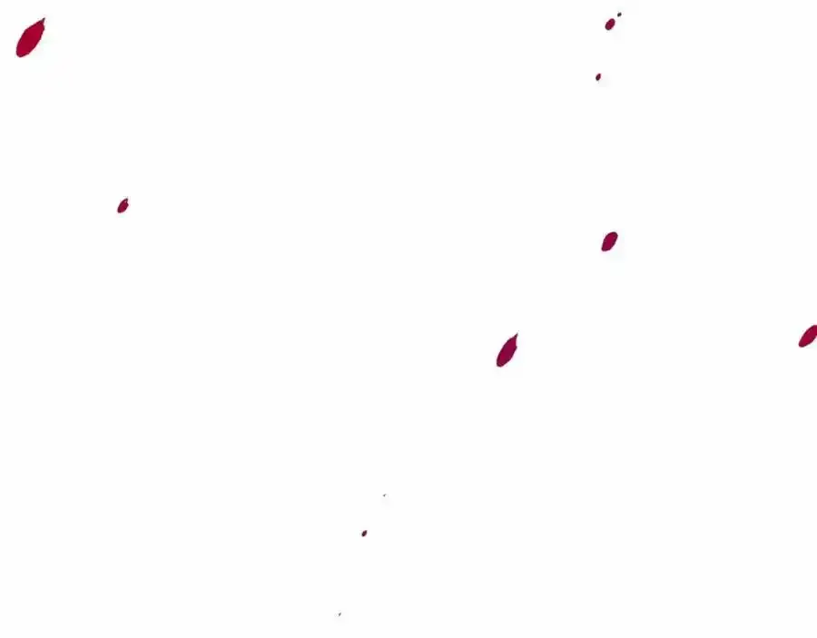 第47话 求爱被拒 第212页