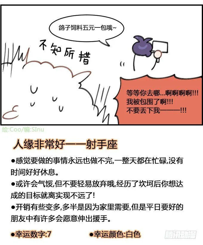 喂鸽子 第4页