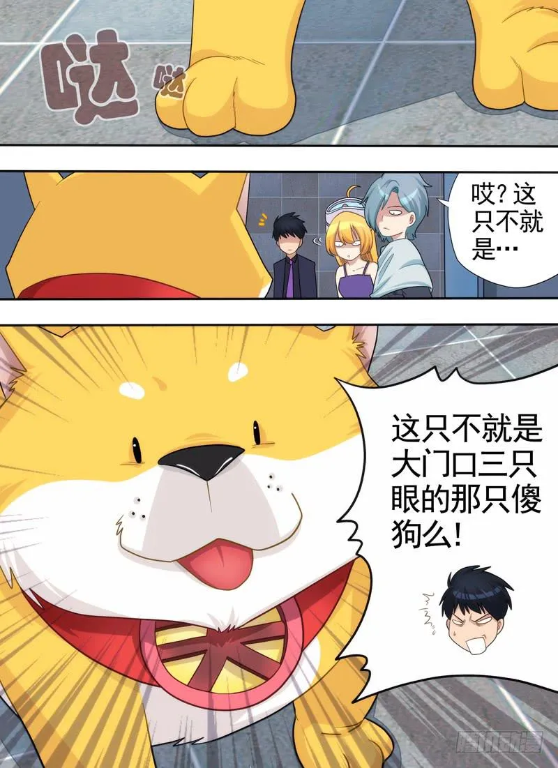 戒指与狗狗 第7页