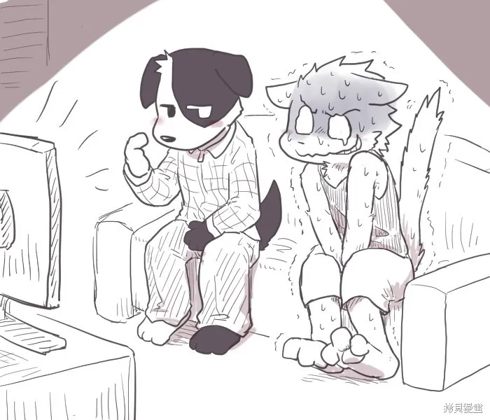 彩图 第12页