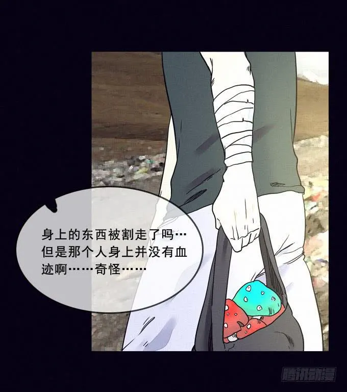 食物 第17页