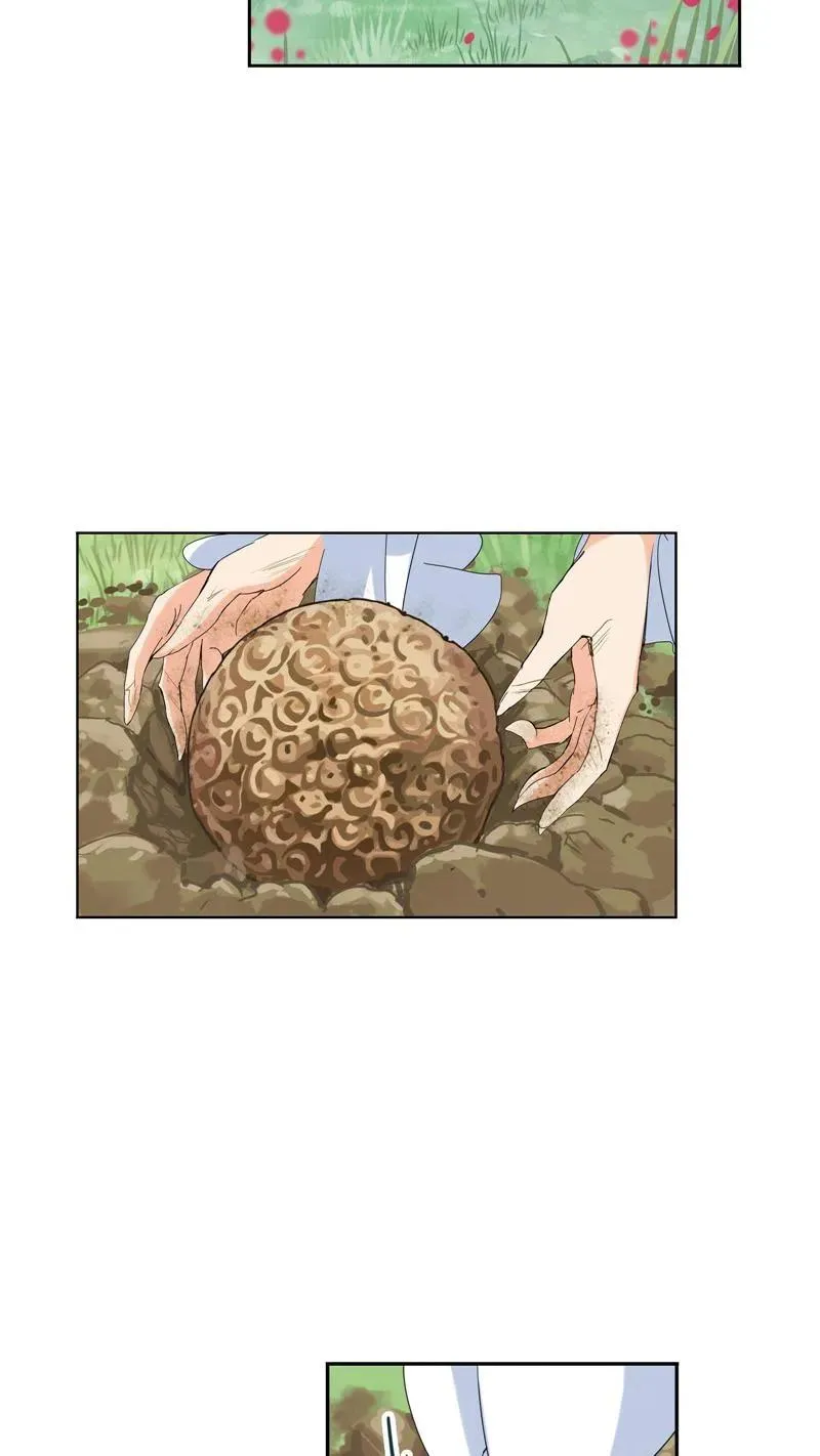 第223话 简单的考验 02 第35页