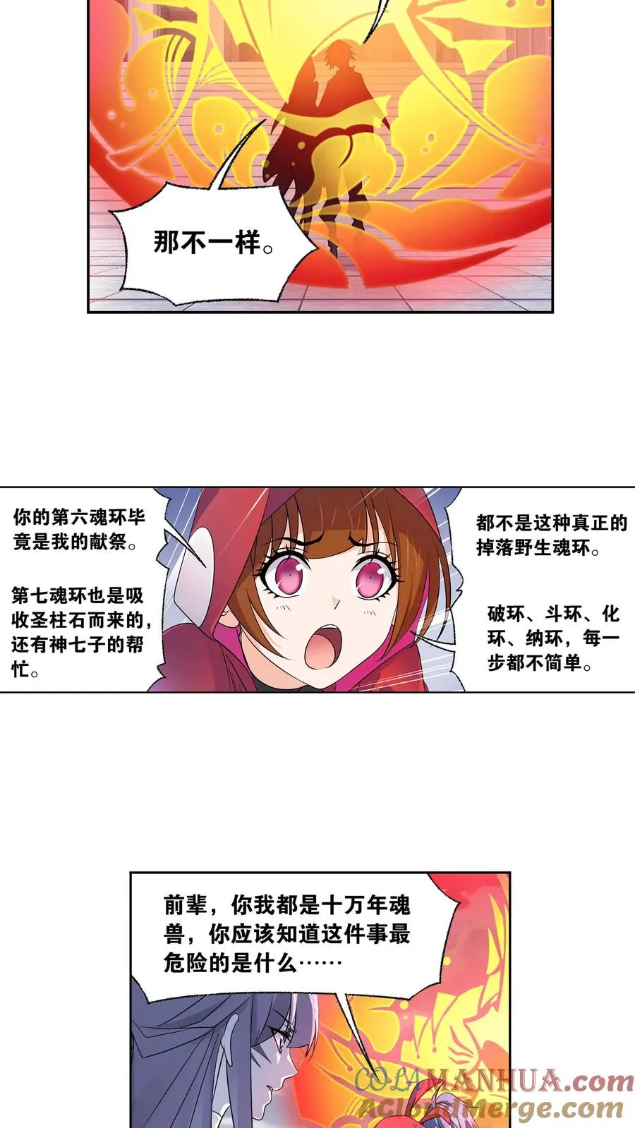 第322话：吸收！十万年魂环（下） 第3页