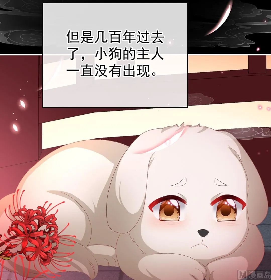 第141话 你就是那只狗！ 第29页