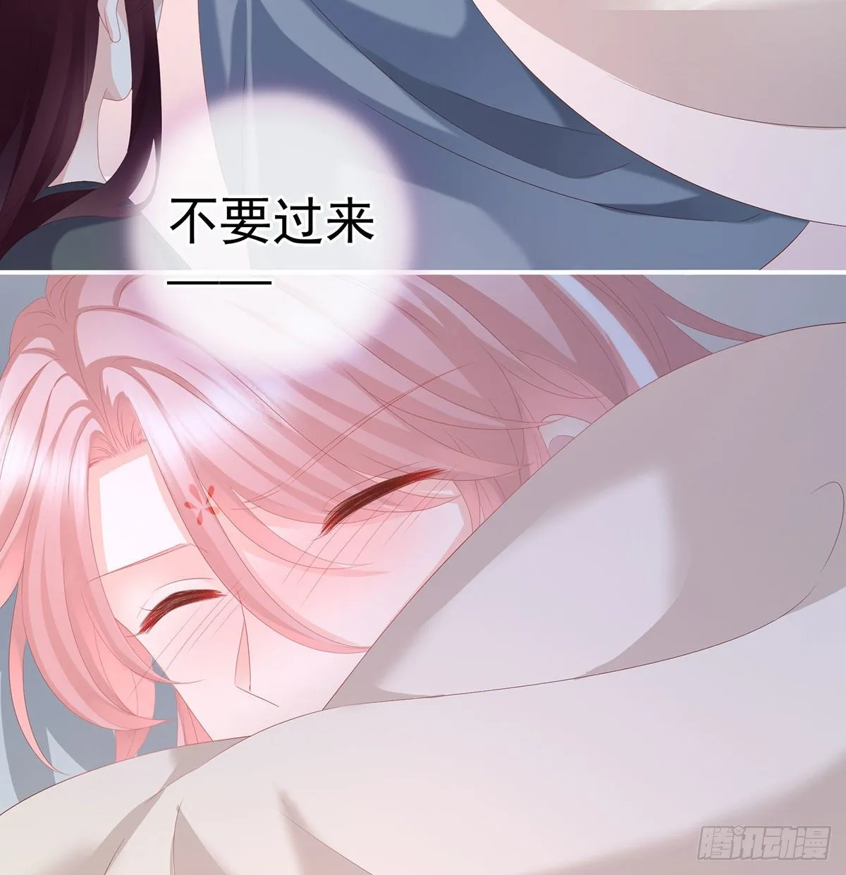 花期 第52页