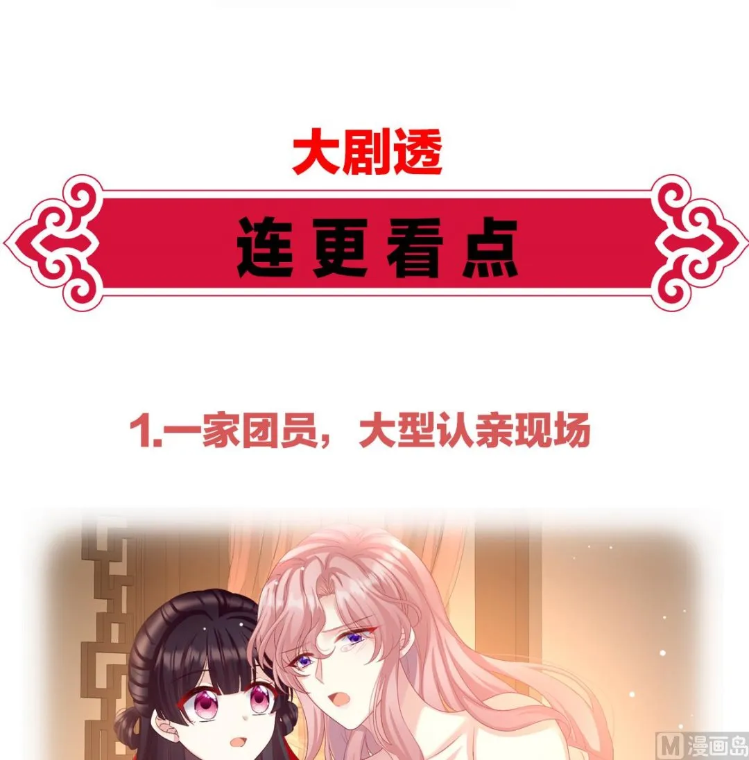 连更及付费公告 第4页