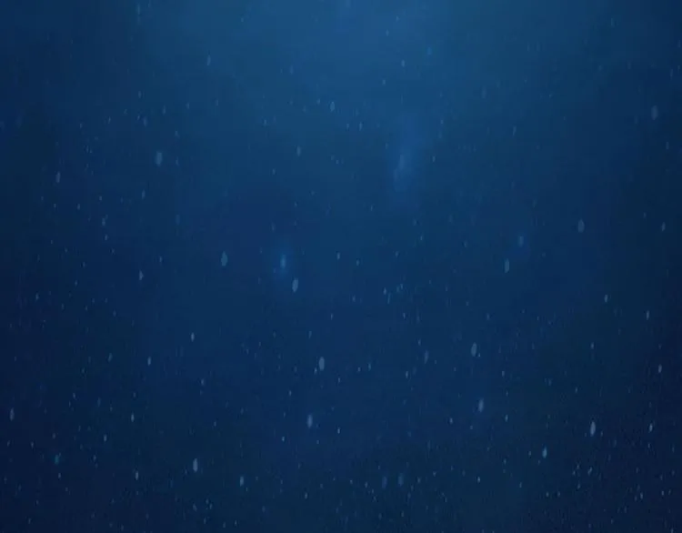 第13话 桌案上的代价 第80页