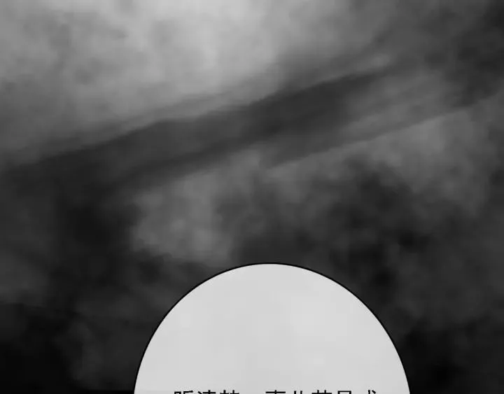 第43话 安歌的回报 第100页