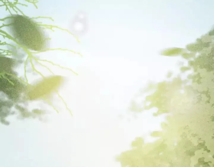 第46话 春风一度 第12页