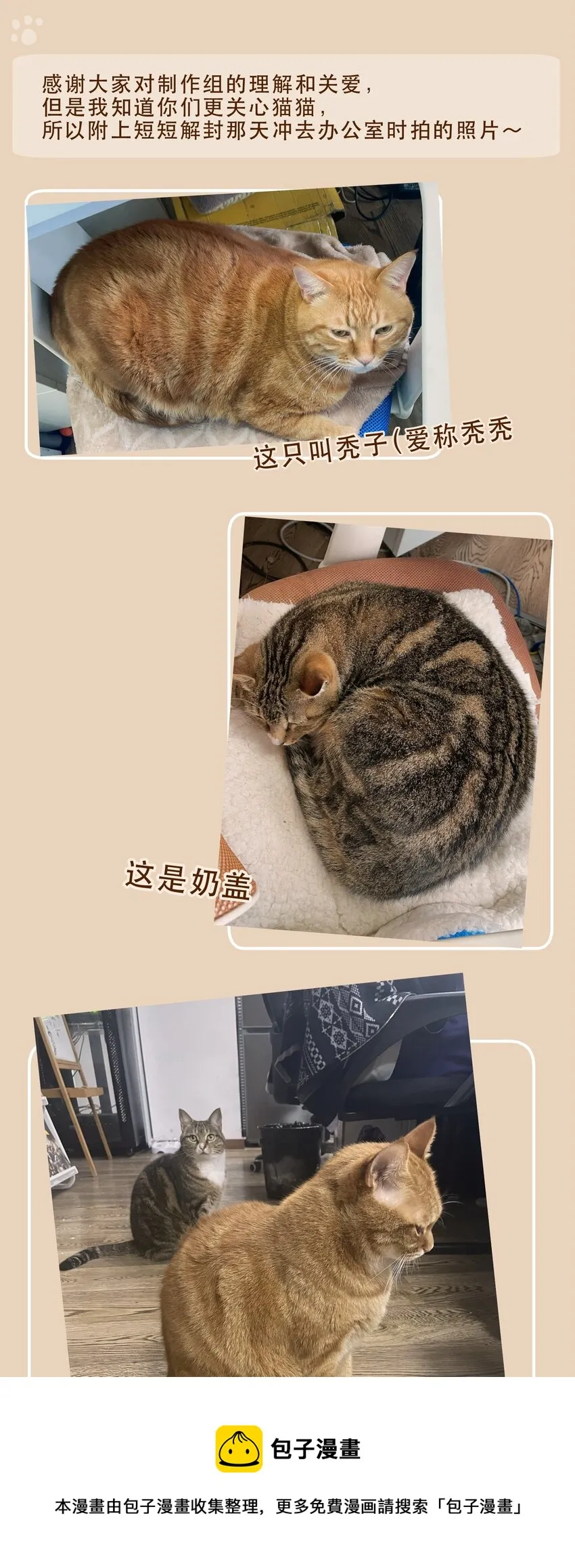 118 我可以！ 第29页