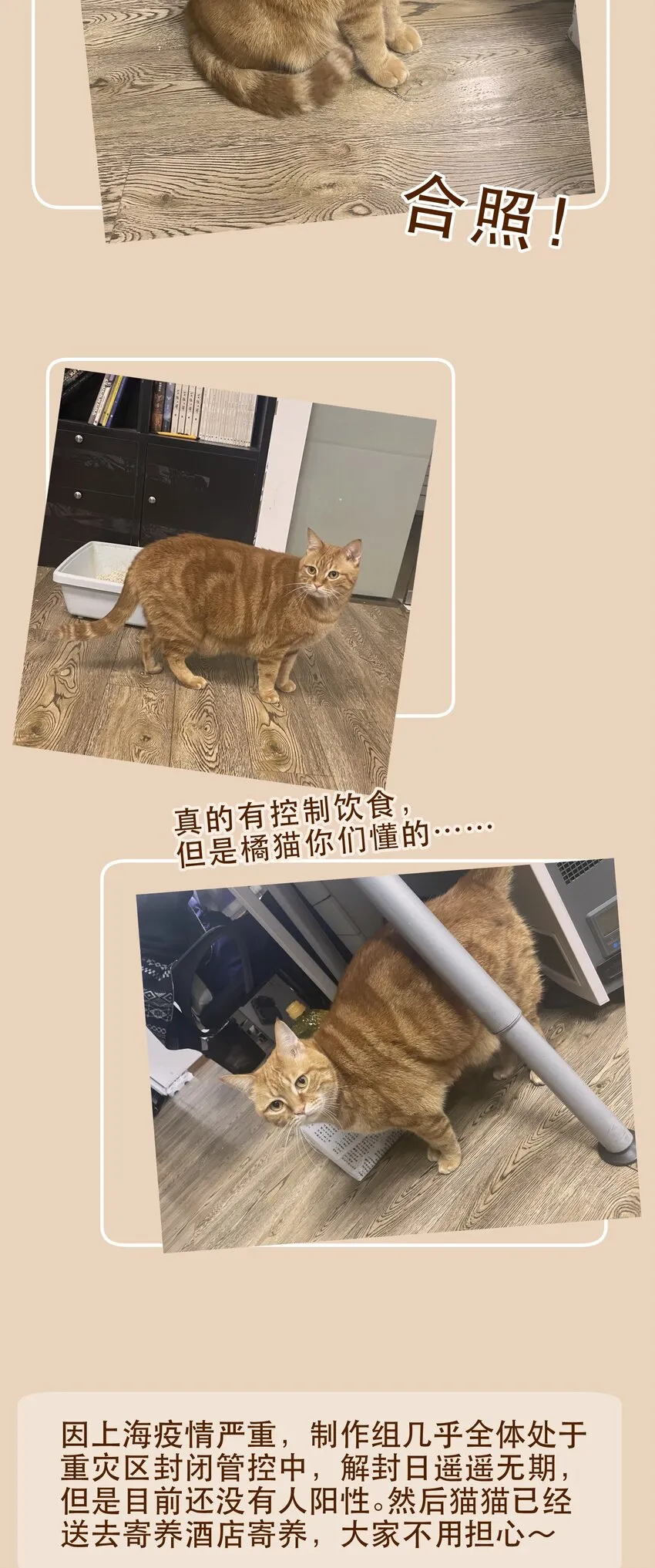 118 我可以！ 第30页