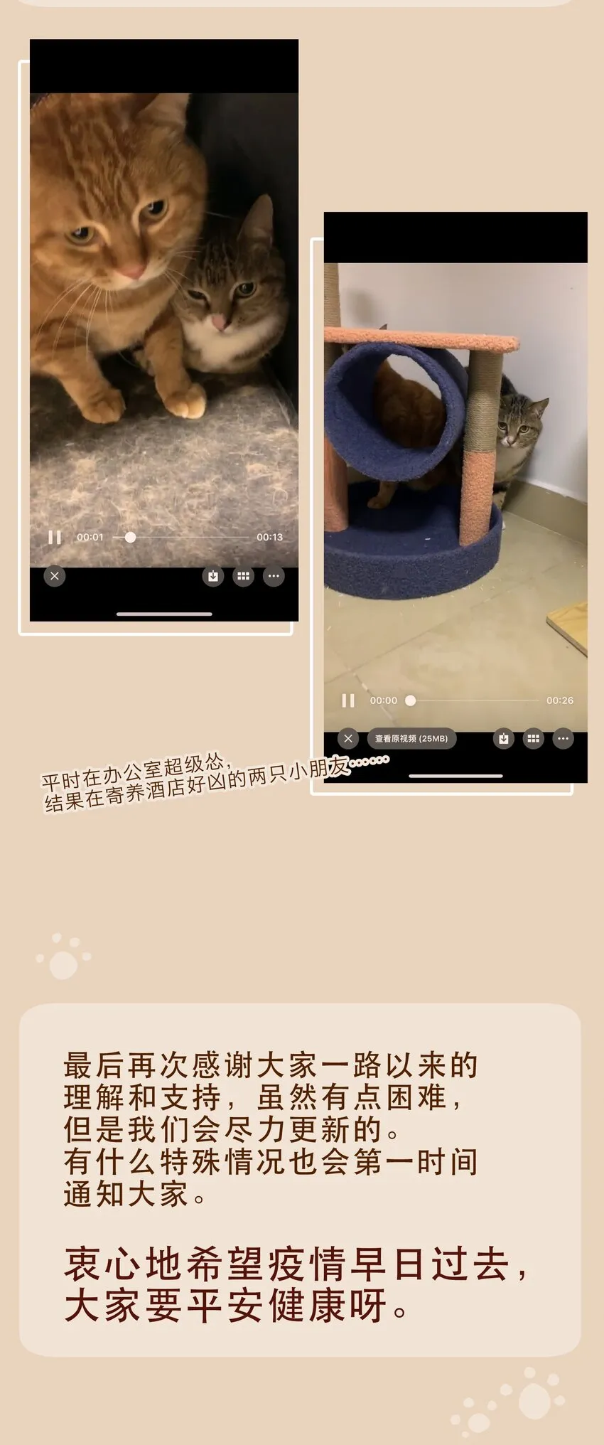 118 我可以！ 第31页