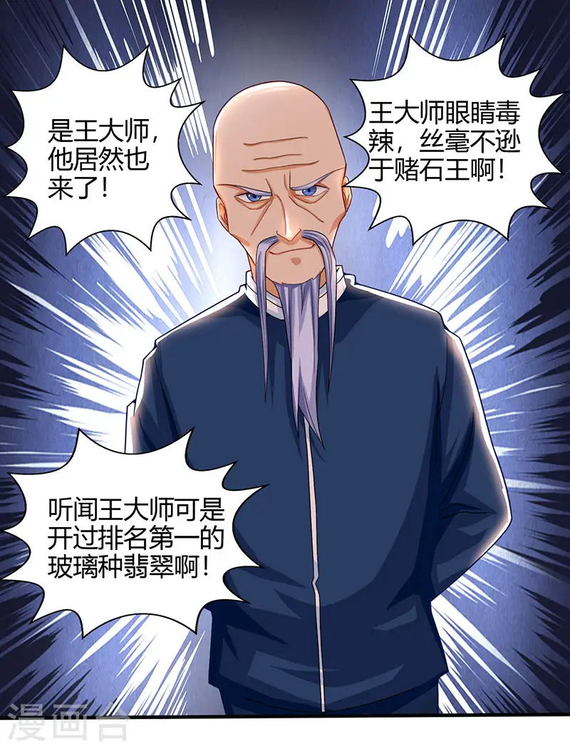 第14话 赌石 第19页