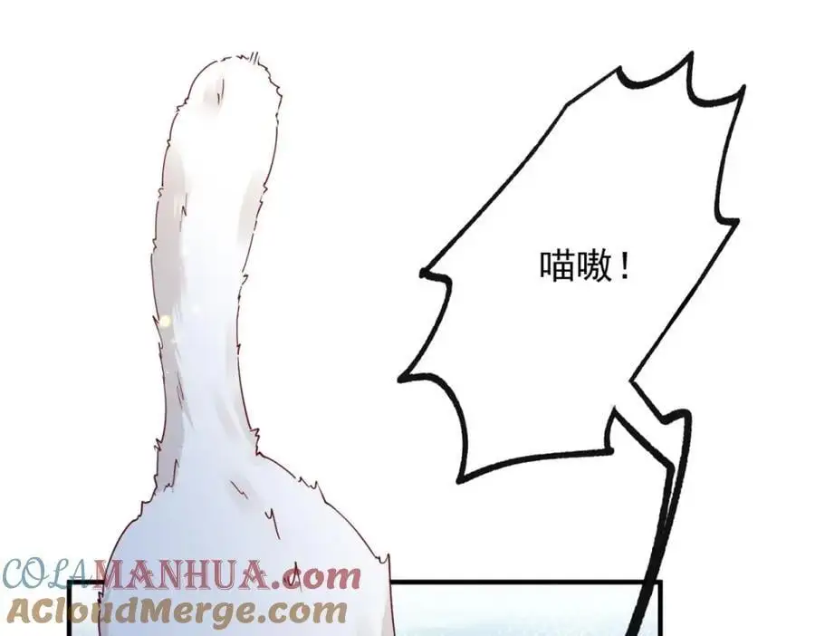 第206话 天神蕾蒂拉 第13页