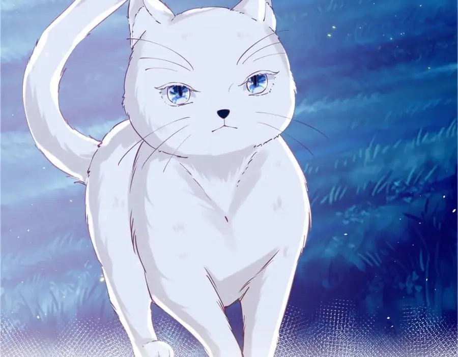 第207话 从猫到书到玩偶 第8页