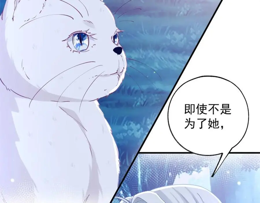 第207话 从猫到书到玩偶 第17页