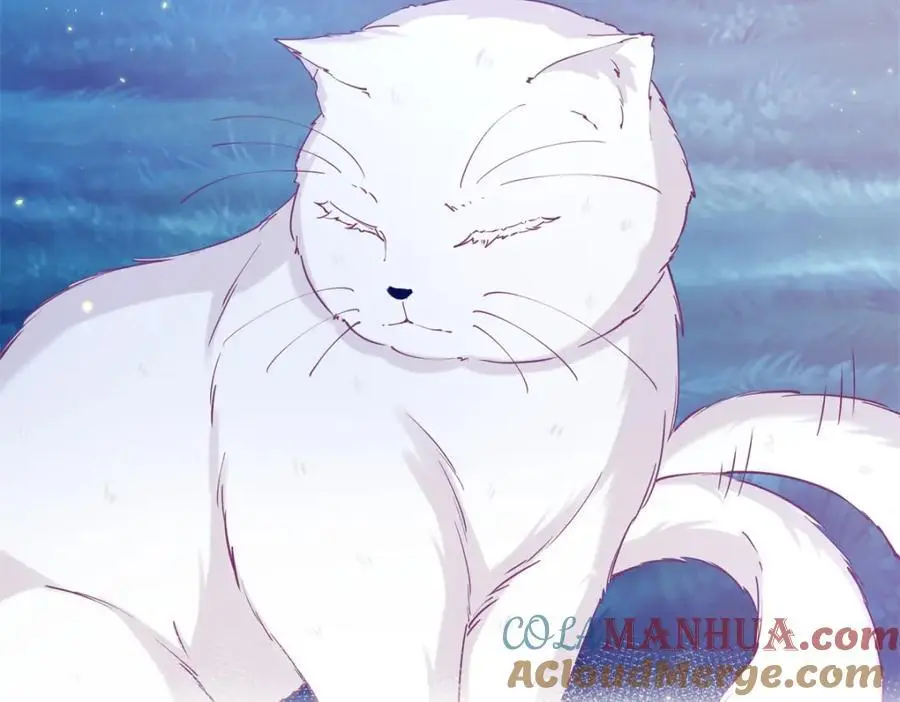 第207话 从猫到书到玩偶 第22页