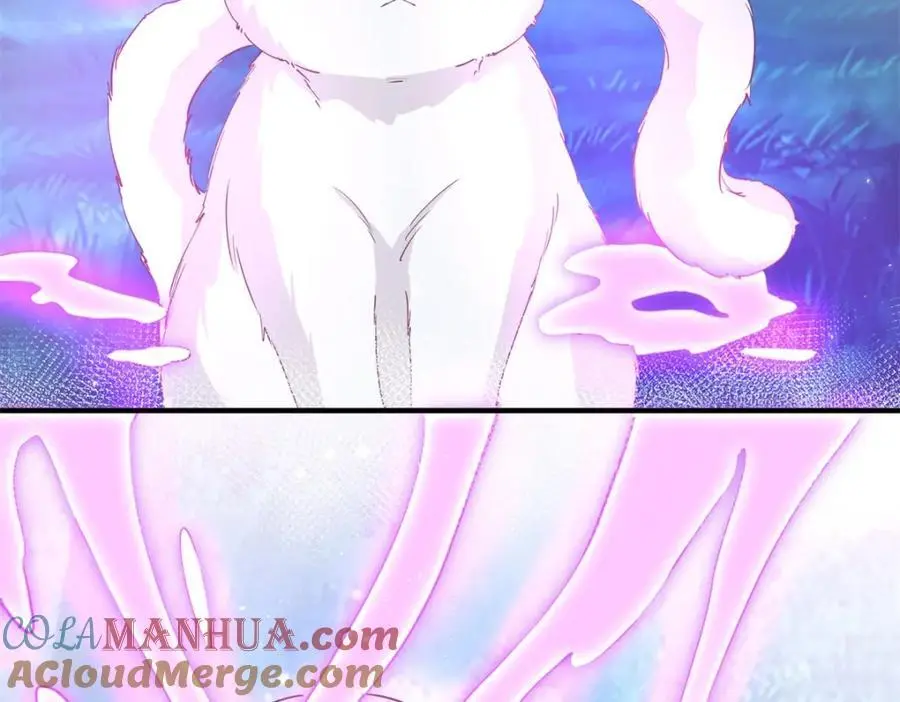第207话 从猫到书到玩偶 第25页
