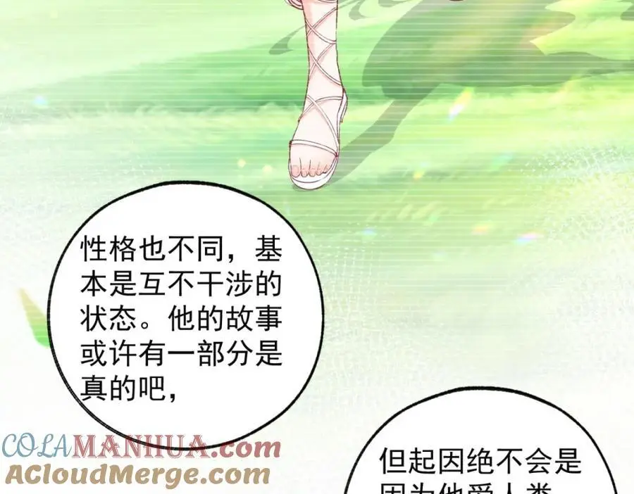 第207话 从猫到书到玩偶 第40页