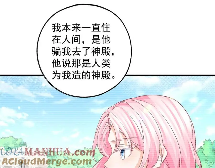 第207话 从猫到书到玩偶 第43页