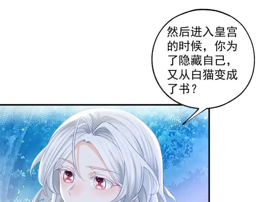 第207话 从猫到书到玩偶 第53页