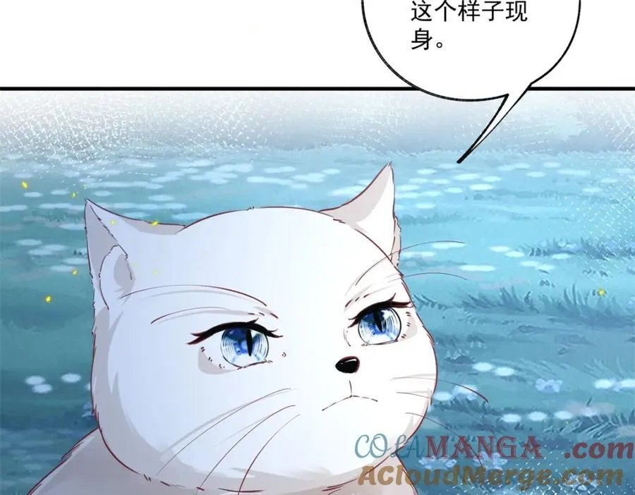 第215话 贝贝的灵魂渐渐远去 第7页