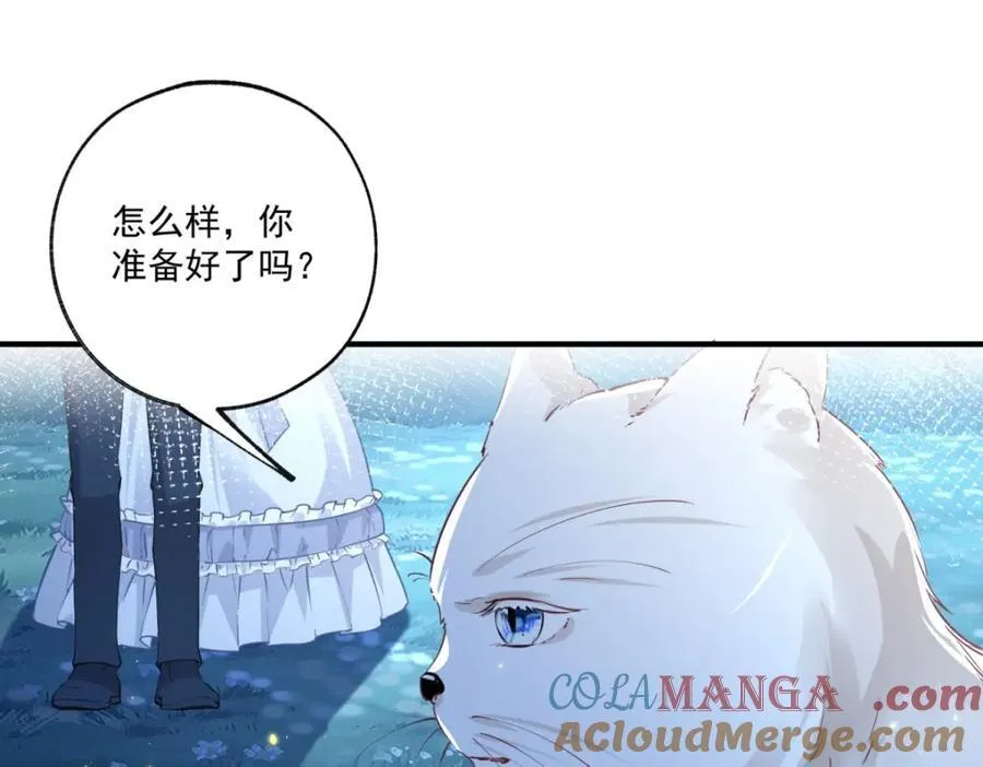 第215话 贝贝的灵魂渐渐远去 第13页