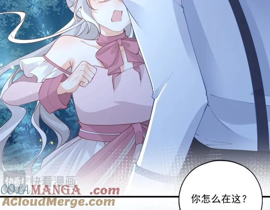 第215话 贝贝的灵魂渐渐远去 第37页