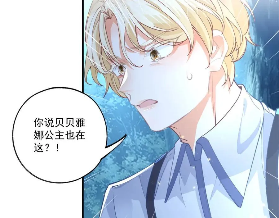 第215话 贝贝的灵魂渐渐远去 第42页